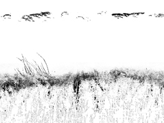 image d'étang dit que